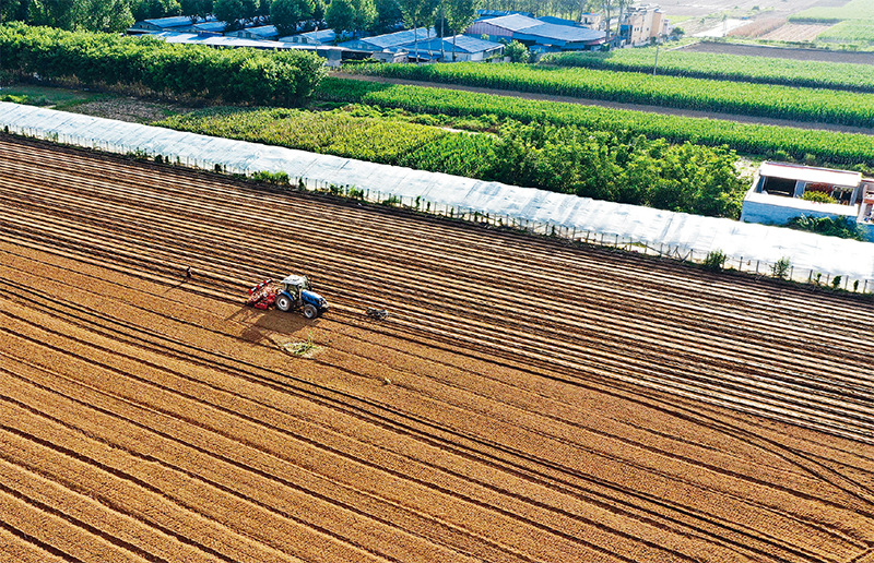 风雨同舟 人民至上(图3) 风雨同舟 人民至上(图3)