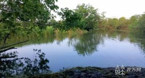 点赞!退役军人勇救落水者 获见义勇为奖励(图1) 点赞!退役军人勇救落水者 获见义勇为奖励(图1)