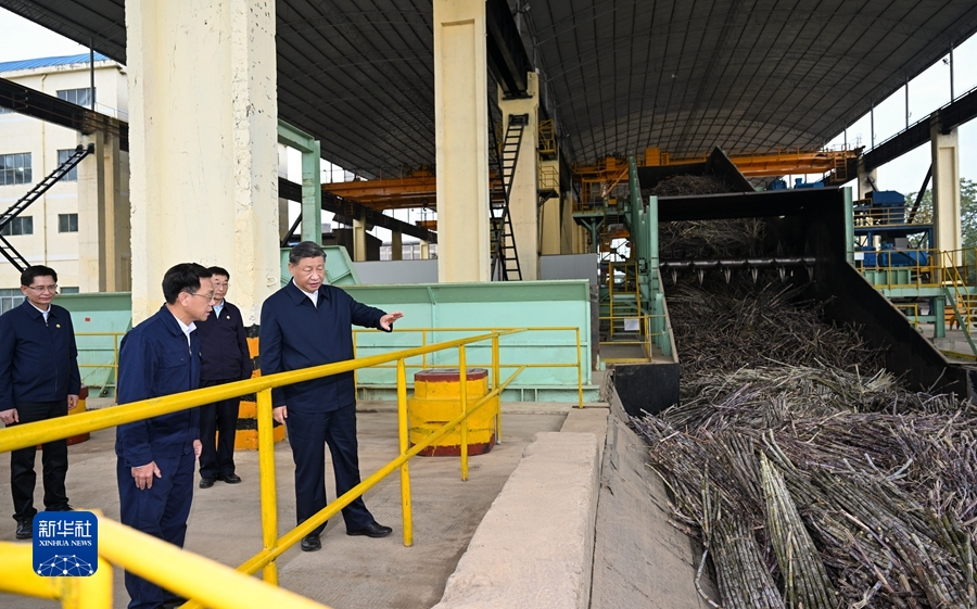 习近平在广西考察时强调 解放思想创新求变向海图强开放发展 奋力谱写中国式现代化广西篇章(图16) 习近平在广西考察时强调 解放思想创新求变向海图强开放发展 奋力谱写中国式现代化广西篇章(图16)