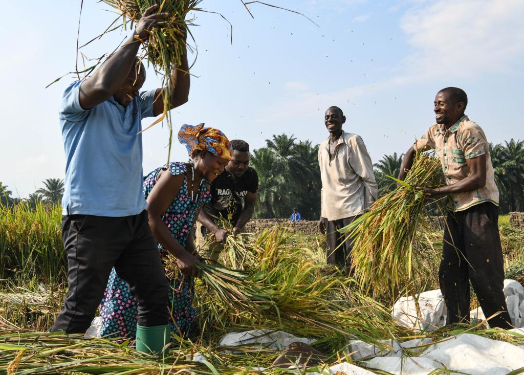 中非合作论坛｜特稿：在现代化征程上携手同行——习近平主席引领中非合作开启新篇章(图3)