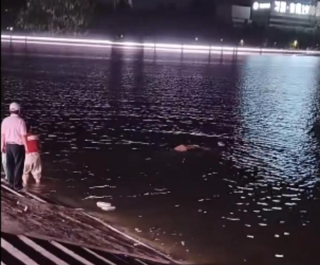 虹山湖畔惊魂3分钟——退役军人张龙一人救四人(图1) 虹山湖畔惊魂3分钟——退役军人张龙一人救四人(图1)