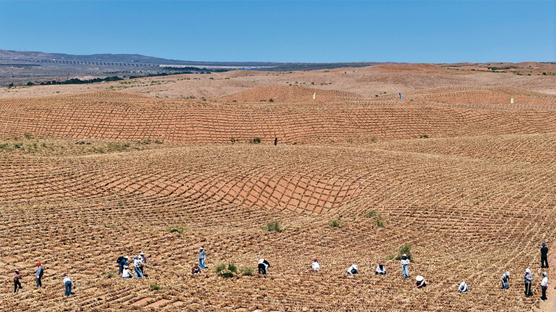 以习近平生态文明思想引领美丽中国建设(图2)