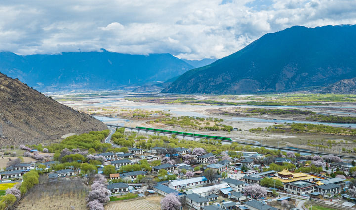 格桑花开映山河 团结奋进新征程(图3) 格桑花开映山河 团结奋进新征程(图3)