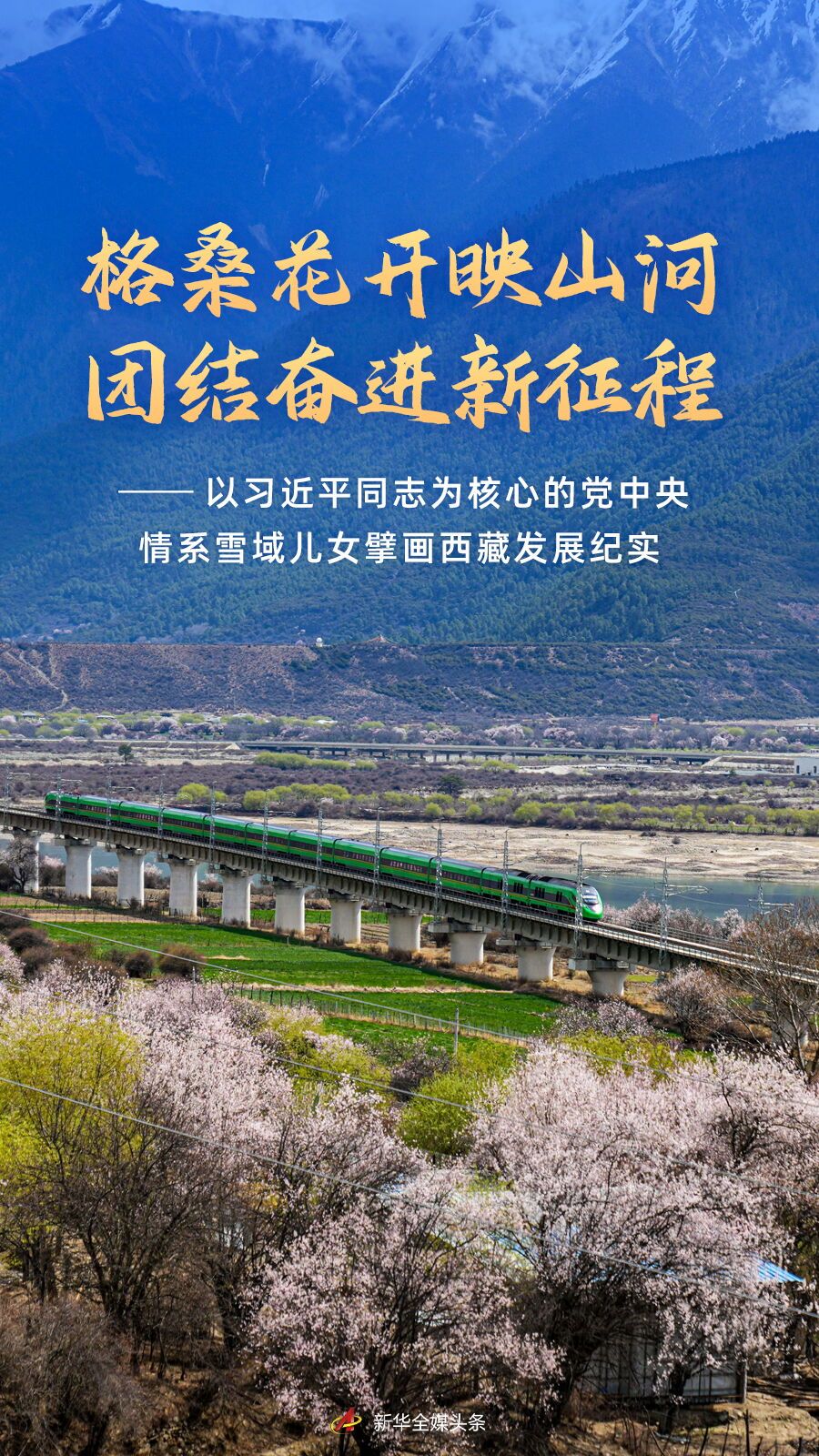 格桑花开映山河 团结奋进新征程(图1) 格桑花开映山河 团结奋进新征程(图1)