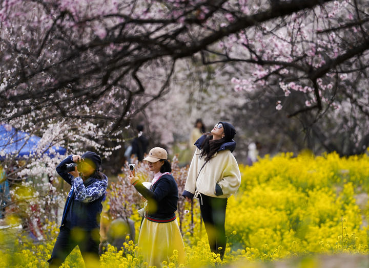格桑花开映山河 团结奋进新征程(图2) 格桑花开映山河 团结奋进新征程(图2)