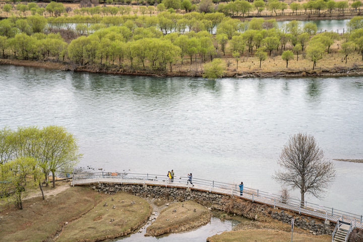 格桑花开映山河 团结奋进新征程(图4) 格桑花开映山河 团结奋进新征程(图4)
