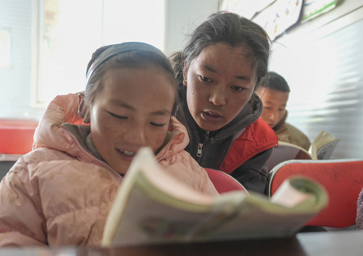 格桑花开映山河 团结奋进新征程(图9) 格桑花开映山河 团结奋进新征程(图9)