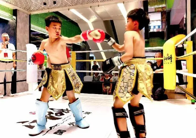 2025首届“还龙杯”国际武林争霸赛开幕 多方合力共筑武林盛事(图3) 屏幕快照 2025-08-22 14.06.39.png