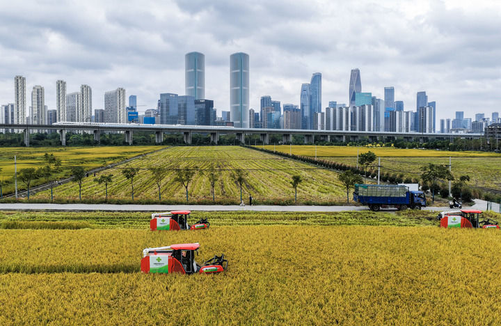 幸福都是奋斗出来的(图5)